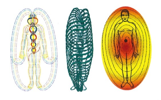 tors énergétiques du corps humain